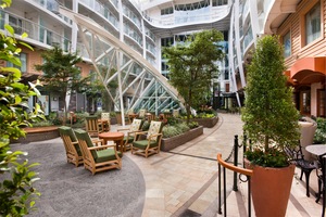 Trellis Bar